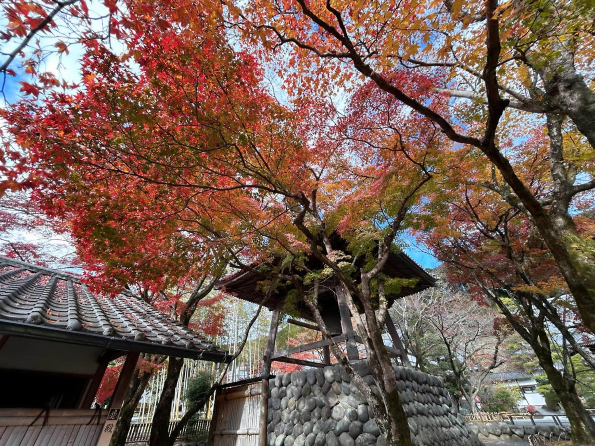Shuzenji Onsen Hotel Takitei Izu (Shizuoka) Exterior foto