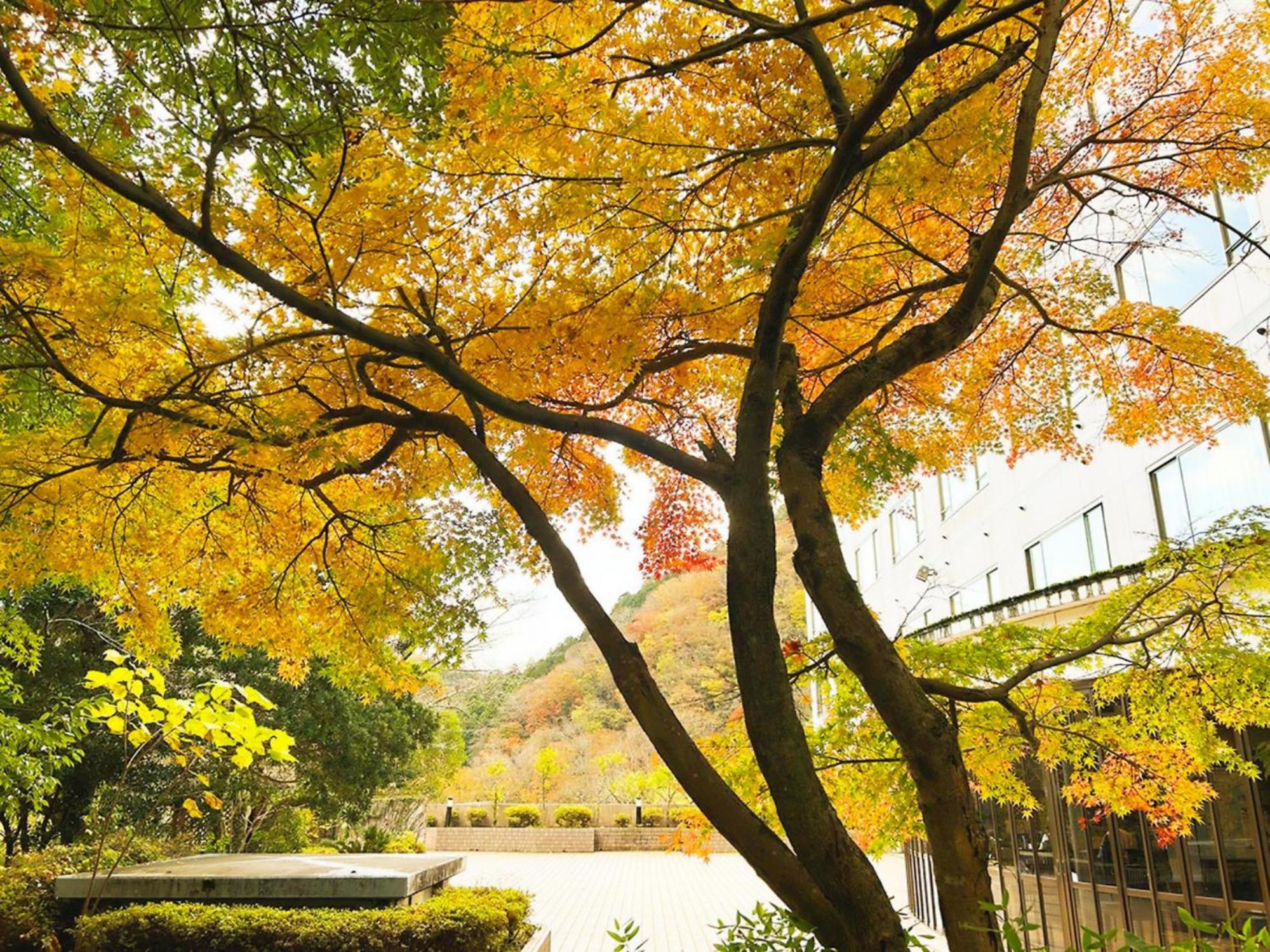 Shuzenji Onsen Hotel Takitei Izu (Shizuoka) Exterior foto