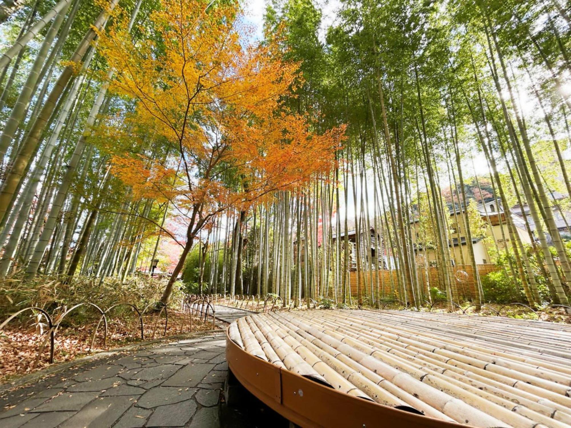 Shuzenji Onsen Hotel Takitei Izu (Shizuoka) Exterior foto